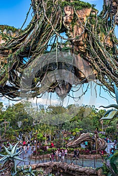 Pandora Ã¢â¬â The World of Avatar at the Animal Kingdom at Walt Disney World